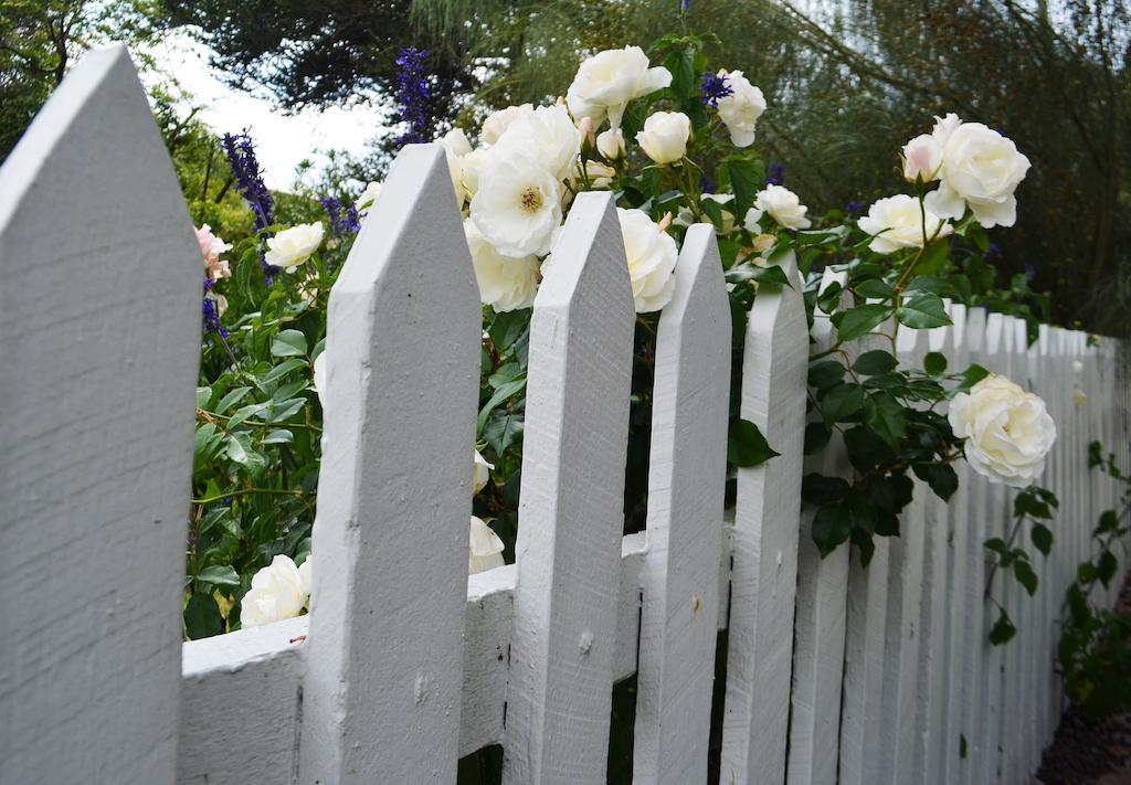 Dunmoylen House Bed & Breakfast Albany Bagian luar foto