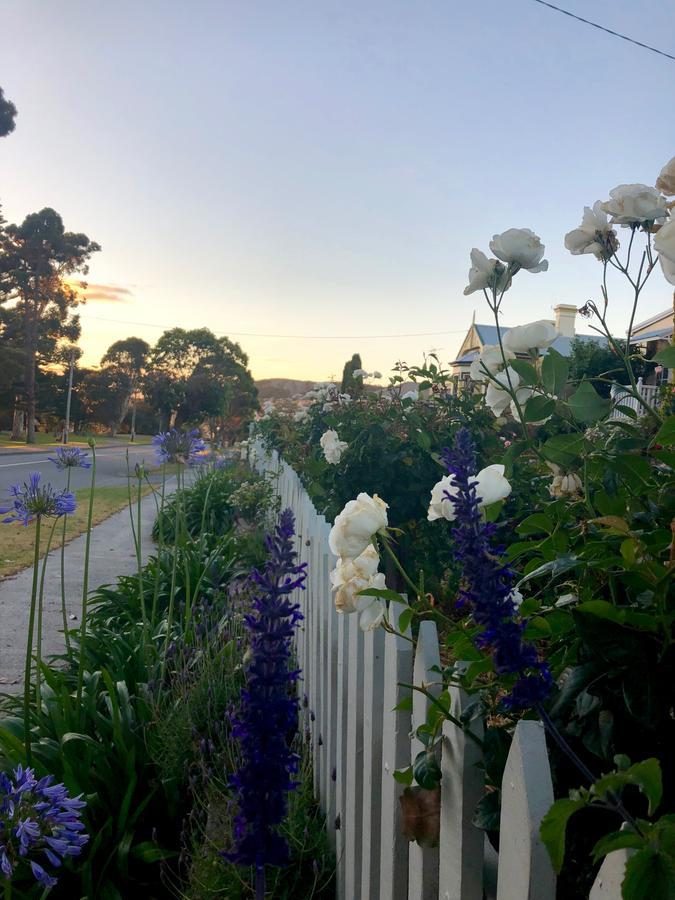 Dunmoylen House Bed & Breakfast Albany Bagian luar foto